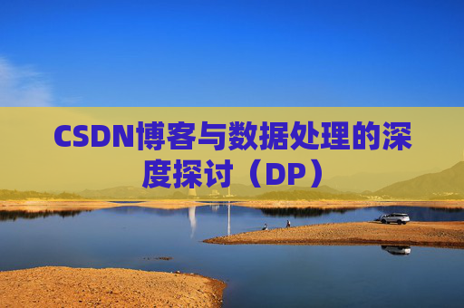 CSDN博客与数据处理的深度探讨（DP）